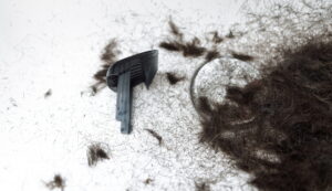 clipped hair and hair trimming guard